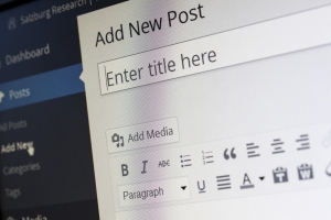 Платформа для сайтов Wordpress (Часть 2, медиа менеджер и публикация статей)