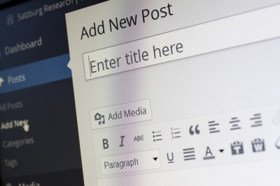 Платформа для сайтов Wordpress (Часть 2, медиа менеджер и публикация статей)
